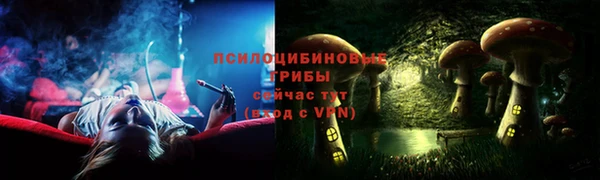 мдпв Пестово