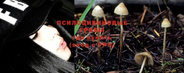 эйфоретик Абаза
