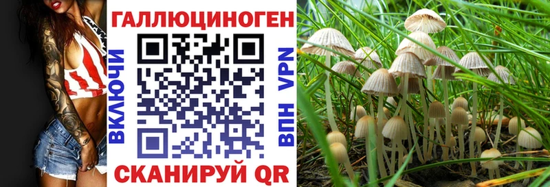 Галлюциногенные грибы Cubensis  Россошь 