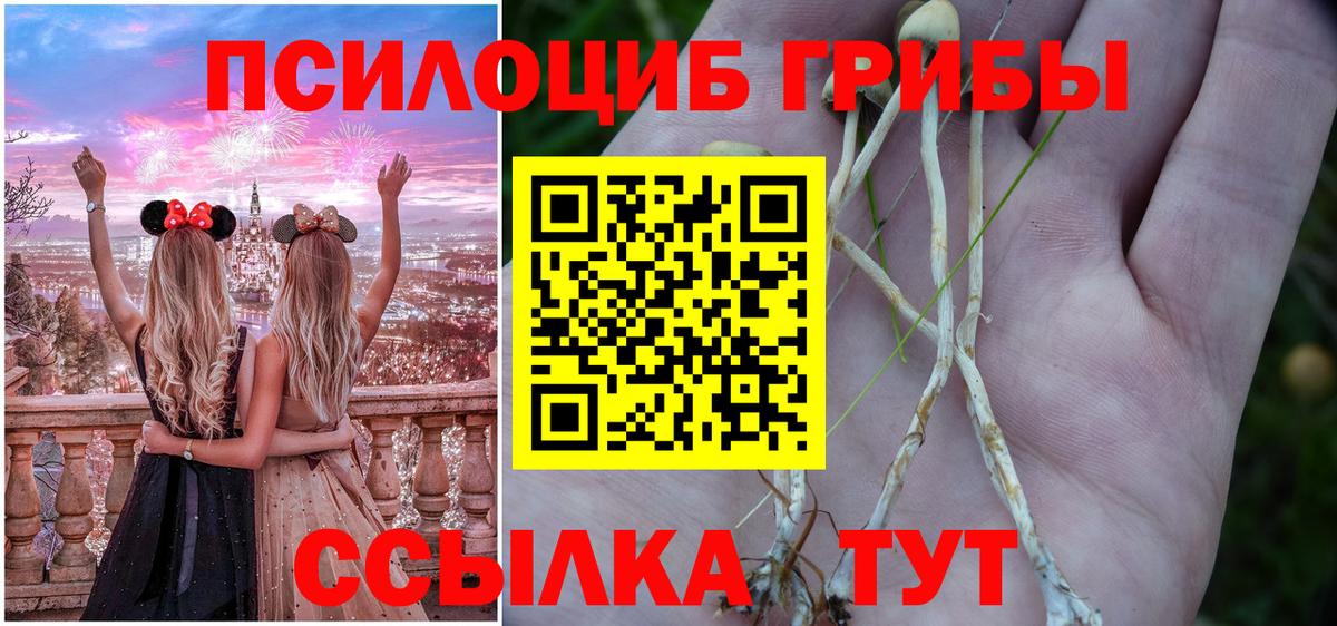 Псилоцибиновые грибы Magic Shrooms Россошь
