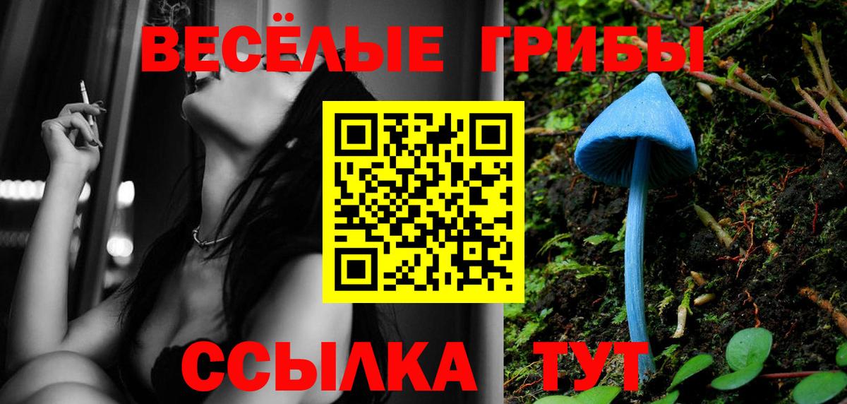 Псилоцибиновые грибы ЛСД  даркнет сайт  Псилоцибиновые грибы MAGIC MUSHROOMS  Россошь  Вход с VPN 